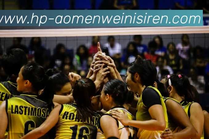 威尼斯人娱乐官网平台生态图